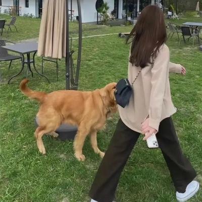 我的表兄维尼